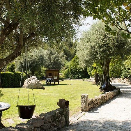 Quinta Do Meira Брага Екстер'єр фото